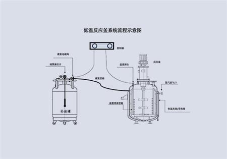 低溫反應(yīng)釜-反應(yīng)容器定制